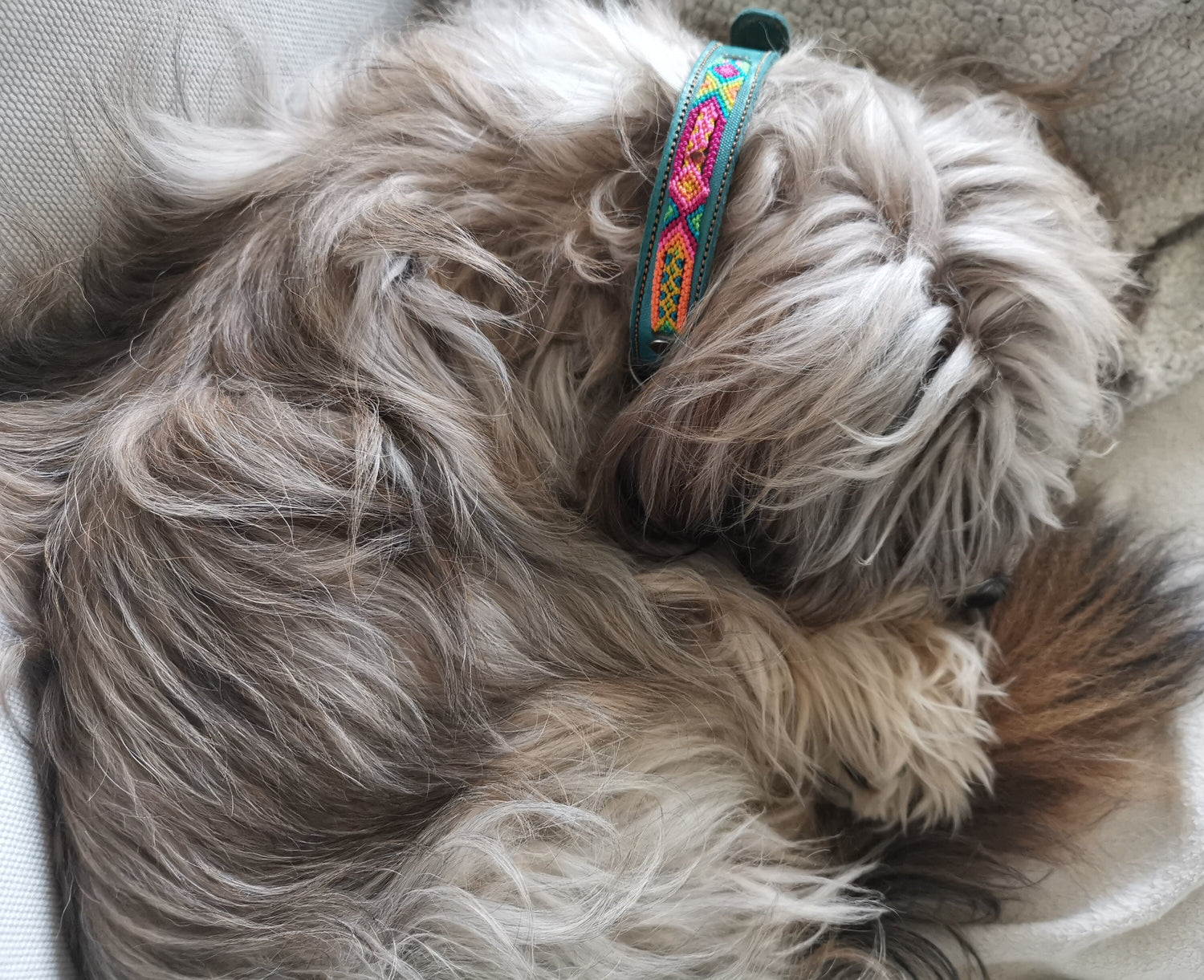 Buntes Medium Lederhalsband, Hundehalsband aus Chiapas Mexiko, Hundehalsband aus Leder 40 cm lang, Halsband Handarbeit Unikat
