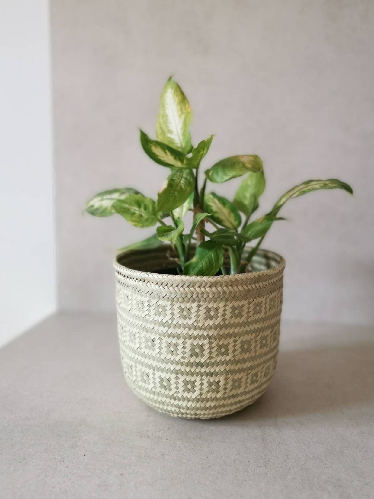 Boho Mexican style basket, cosmetic basket, storage basket, plant basket