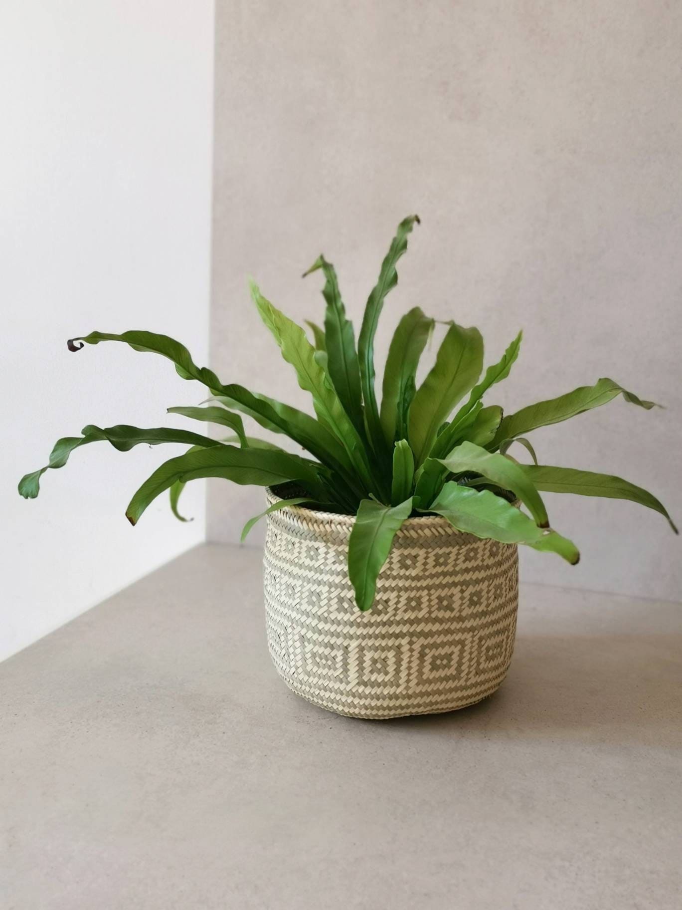 Panier mexicain bohème, panier cosmétique, panier de rangement du Mexique, panier à plantes de style bohème
